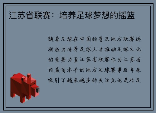 江苏省联赛:培养足球梦想的摇篮
